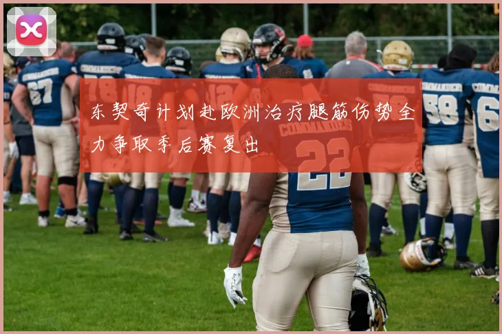 东契奇计划赴欧洲治疗腿筋伤势全力争取季后赛复出